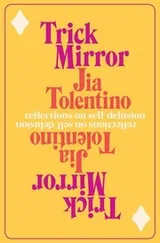 Cover of Trick Mirror
