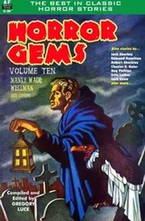 Cover of Horror Gems, Volume Ten, Manly Wade Wellman and others (Volume 10)