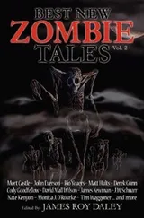 Cover of Best New Zombie Tales (Vol. 2)