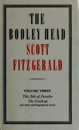 Cover of The Bodley Head Scott Fitzgerald