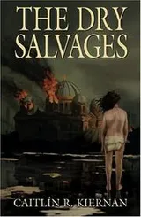 Cover of The dry salvages