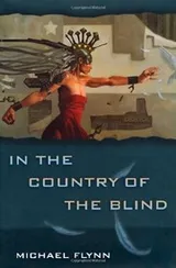 Cover of In the Country of the Blind