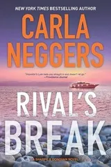 Cover of Rival's Break