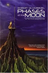 Cover of Phases of the Moon
