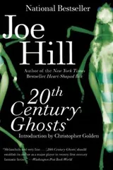 Cover of 20th Century Ghosts