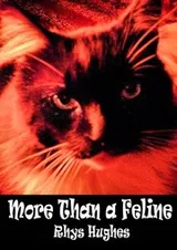 Cover of More Than a Feline