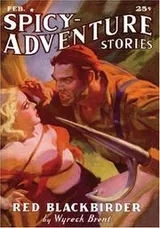 Cover of Spicy-Adventure Stories - February 1938