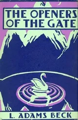 Cover of The Openers of the Gate