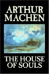 Cover of The house of souls