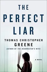 Cover of The Perfect Liar