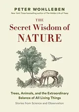 Cover of The Secret Wisdom of Nature
