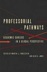 Cover of Professorial Pathways