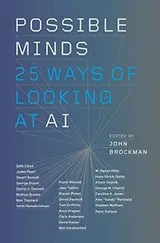 Cover of Possible Minds