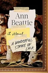 Cover of A Wonderful Stroke of Luck