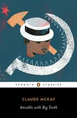 Cover of Amiable with big teeth
