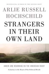 Cover of Strangers in Their Own Land