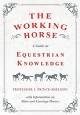 Cover of The Working Horse - A Guide on Equestrian Knowledge with Information on Shire and Carriage Horses