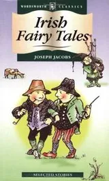 Cover of Irish Fairy Tales