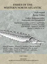 Cover of Soft-rayed Bony Fishes