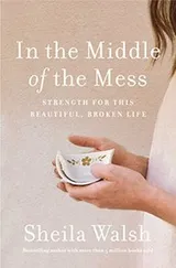 Cover of In the Middle of the Mess
