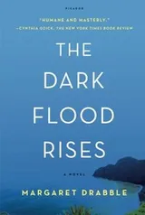 Cover of The Dark Flood Rises