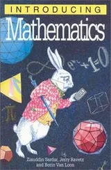 Cover of Introducing mathematics