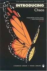 Cover of Introducing Chaos