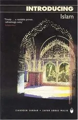 Cover of Introducing Islam (Introducing)