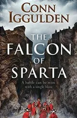 Cover of The Falcon of Sparta