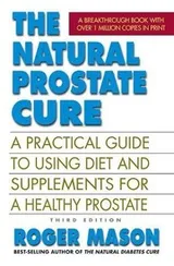 Cover of The Natural Prostate Cure, Third Edition