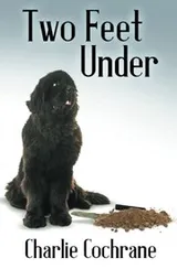 Cover of Two Feet Under
