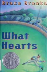 Cover of What hearts