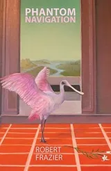 Cover of Phantom Navigation