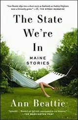 Cover of The state we're in