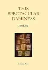 Cover of This Spectacular Darkness 2016