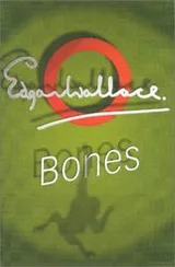 Cover of Bones