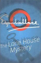 Cover of The Lone House mystery