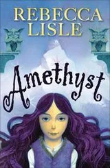 Cover of Amethyst