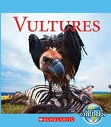Cover of Vultures