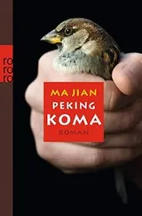 Cover of Peking-Koma