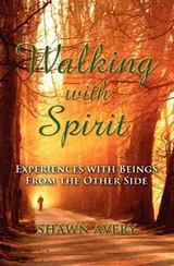 Cover of Walking with Spirit