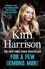 Cover of For a Few Demons More