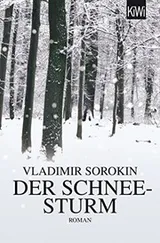 Cover of Der Schneesturm
