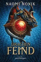 Cover of Drachenfeind