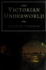 Cover of The Victorian underworld