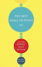 Cover of The Best Small Fictions 2015