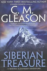 Cover of Siberian Treasure