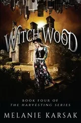 Cover of Witch Wood