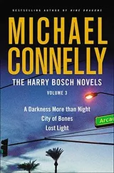 Cover of A Darkness More Than Night