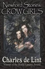 Cover of Newford Stories
